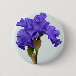 Söt Lila Iris Blommigt Photo Knapp