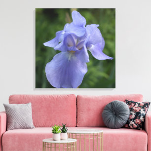Söt Lila Iris Flower Kanvastryck