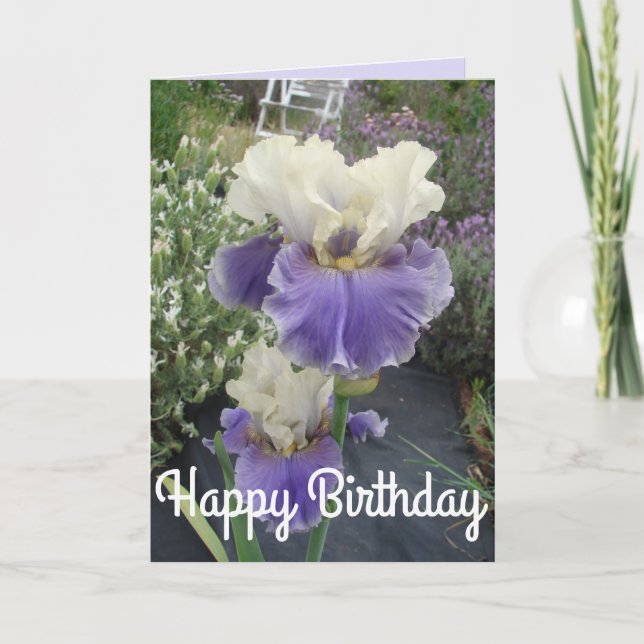 Söt Lila Iris Flower Photo Birday Card Kort (Framsida)