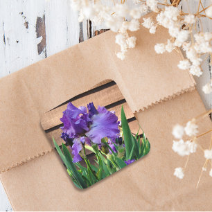 Söt Lila Iris Flowers Fyrkantigt Klistermärke