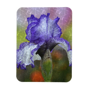 Söt Lila Iris Magnet
