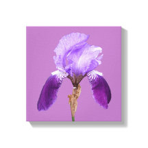 Söt lila iris modern blommigt enkel bra konst
