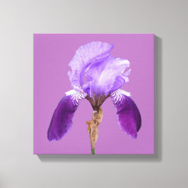 Söt lila iris modern blommigt enkel bra konst canvastryck