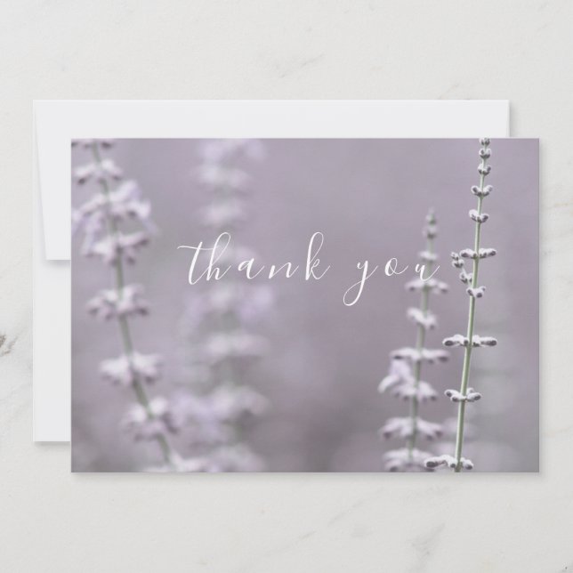 Söt Lila Lavender Blanka tackkort Tack Kort (Framsida)