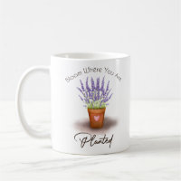 Söt lila lavender plant pot blottad