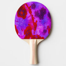 Söt Lila och Red Garden Phlox Flowers