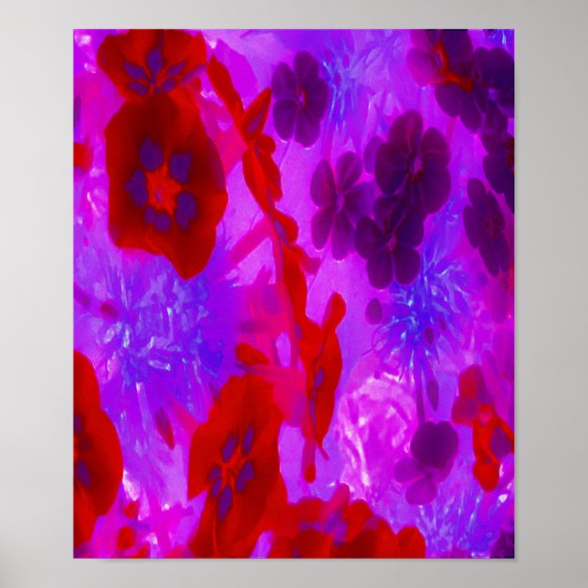 Söt Lila och Red Garden Phlox Flowers Poster (Framsidan)