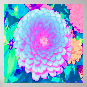 Söt Lila och Rosa Zinnia i sommarträdgården Poster