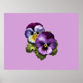 Söt Lila Pansies Poster