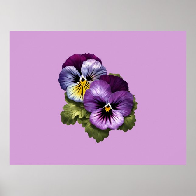 Söt Lila Pansies Poster (Framsidan)