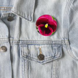 Söt Lila Pansy Blommigt Knapp