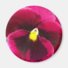 Söt Lila Pansy Blommigt Magnet