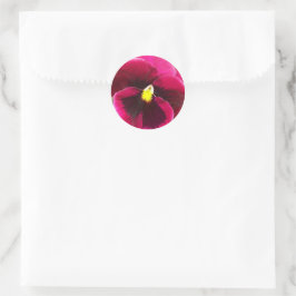 Söt Lila Pansy Blommigt Runt Klistermärke