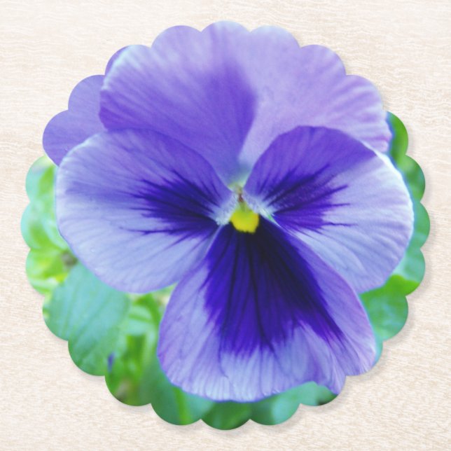 Söt Lila Pansy Flower Underlägg Papper (Framsida)