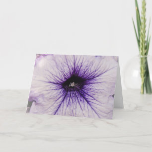 Söt Lila Petunia Flower Close Up Art Card Kort
