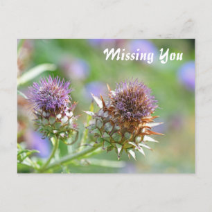 Söt Lila Thistle Garden Flower Photo Vykort