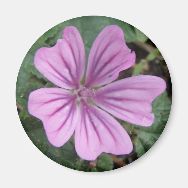 Söt Lila Wildblommagnet Magnet (Framsidan)