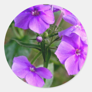 Söt Lila Wildblommblommor Sticker Runt Klistermärke