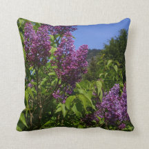 Söt Lilac Flowers Nature Scene