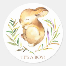 Söt lilla bunny Det är en Boy Favor Sticker Runt Klistermärke