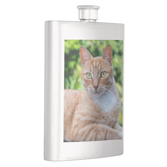 Söt lilla kattunge fickplunta (Höger)