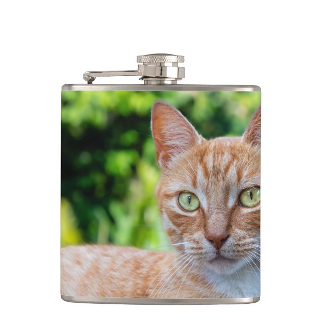 Söt lilla kattunge fickplunta (Framsidan)