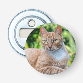 Söt lilla kattunge flasköppnare