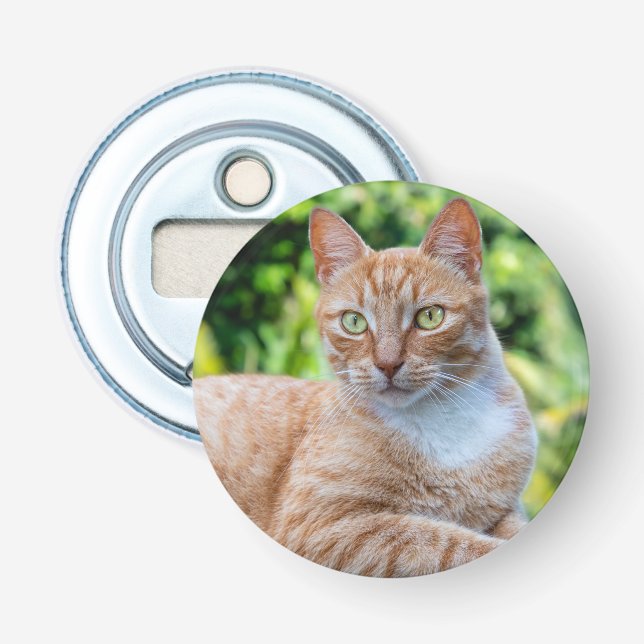 Söt lilla kattunge flasköppnare (Framsidan)