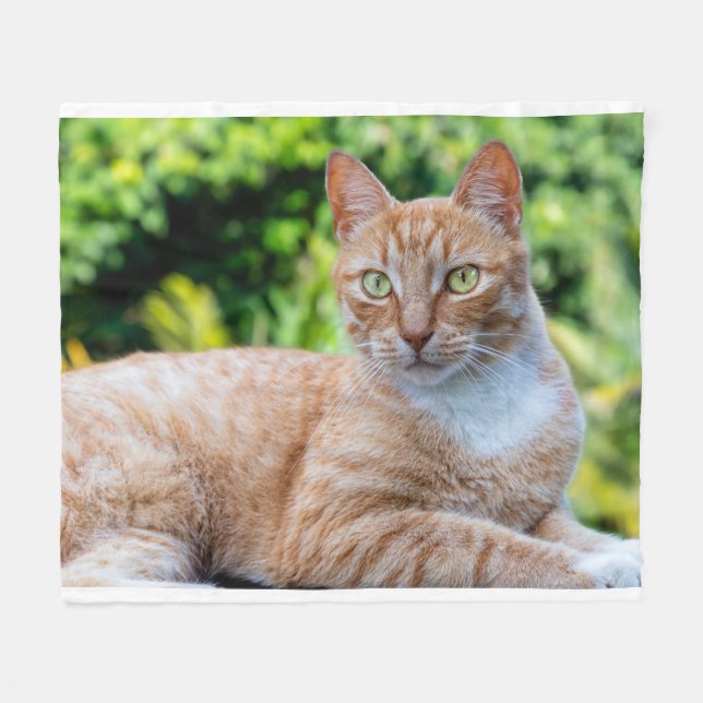 Söt lilla kattunge fleecefilt (Framsidan (Horisontell))