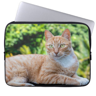 Söt lilla kattunge laptop fodral