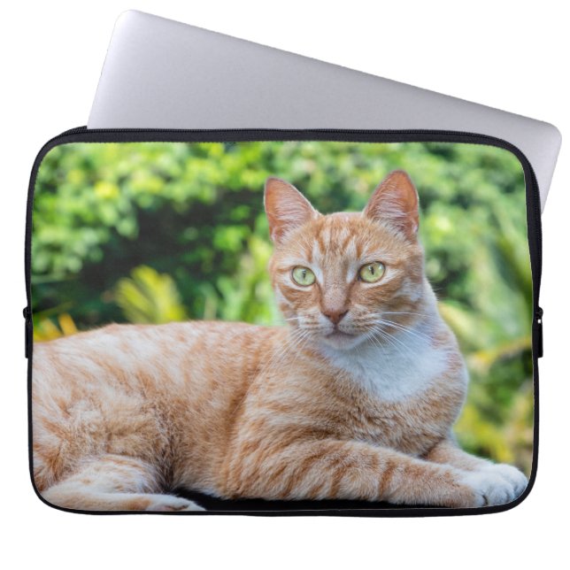 Söt lilla kattunge laptop fodral (Framsidan)