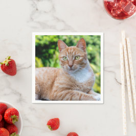 Söt lilla kattunge pappersservett