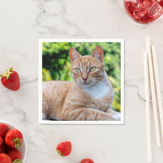 Söt lilla kattunge pappersservett (Insitu)