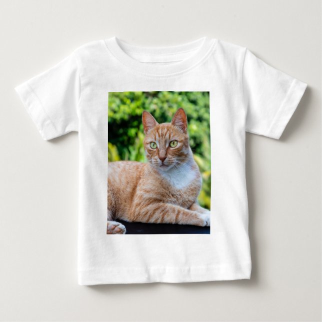 Söt lilla kattunge t shirt (Framsida)