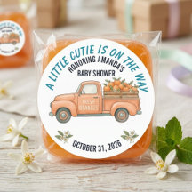 Söt lilla orange vintage lastbil baby shower