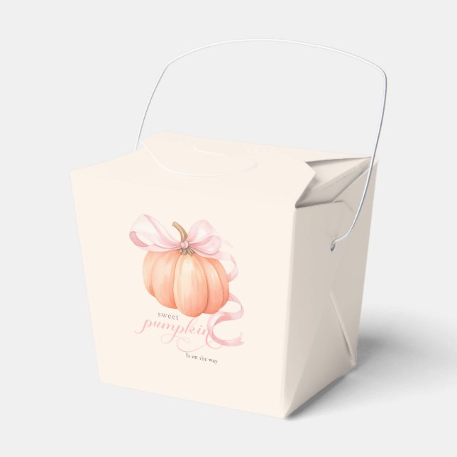 Söt lilla pumpdockans rosa är på väg presentaskar (Framsidan Sidan)