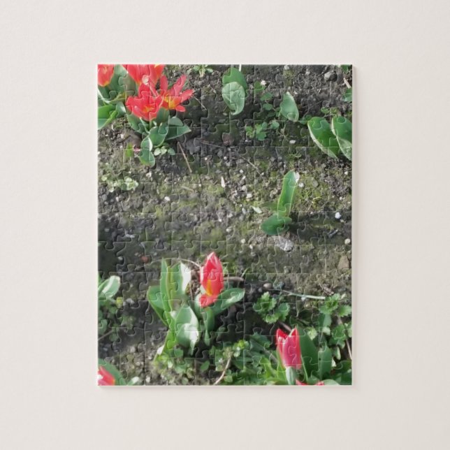 Söt lilla röda vår blommor i parken pussel (Vertikal)