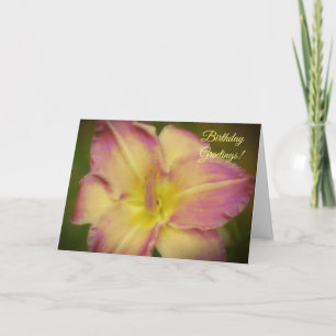 Söt Lily Flower Rosa and Gult Birthday Card Kort