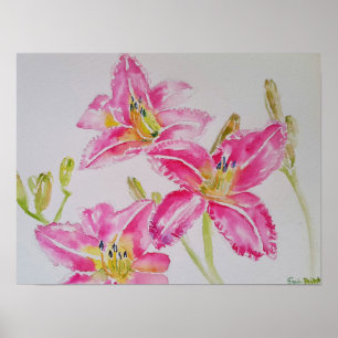 Söt Lily i vykort för Rosa vattenfärgsmålning Poster