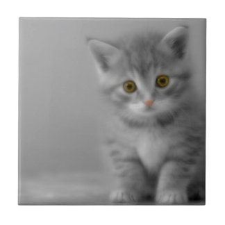 Söt lite kattunge kakelplatta