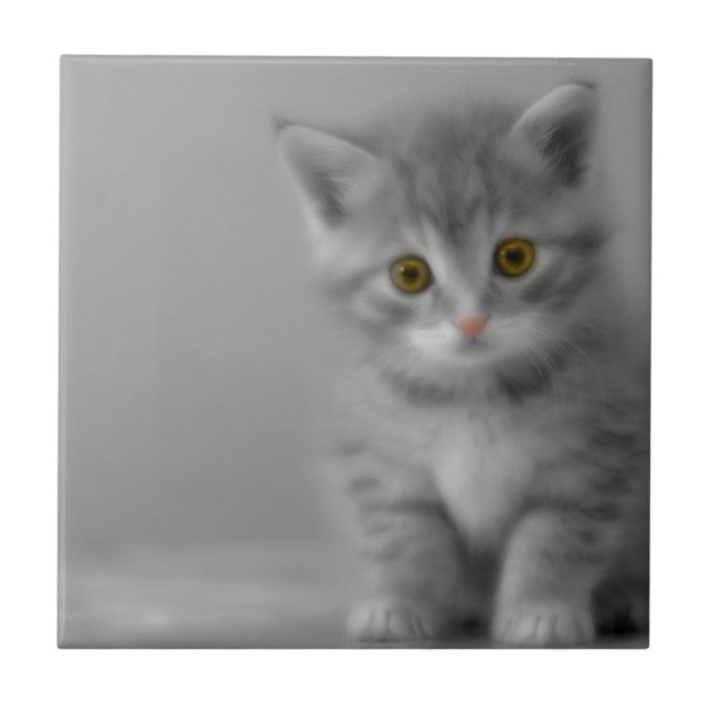 Söt lite kattunge kakelplatta (Framsidan)