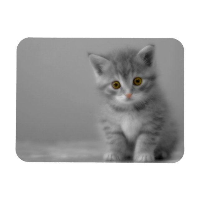 Söt lite kattunge magnet (Horisontell)