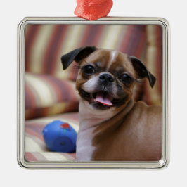 Söt liten hund med sin favoritkula julgransprydnad metall