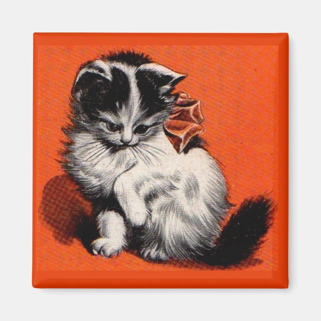 söt liten katt magnet (Framsidan)