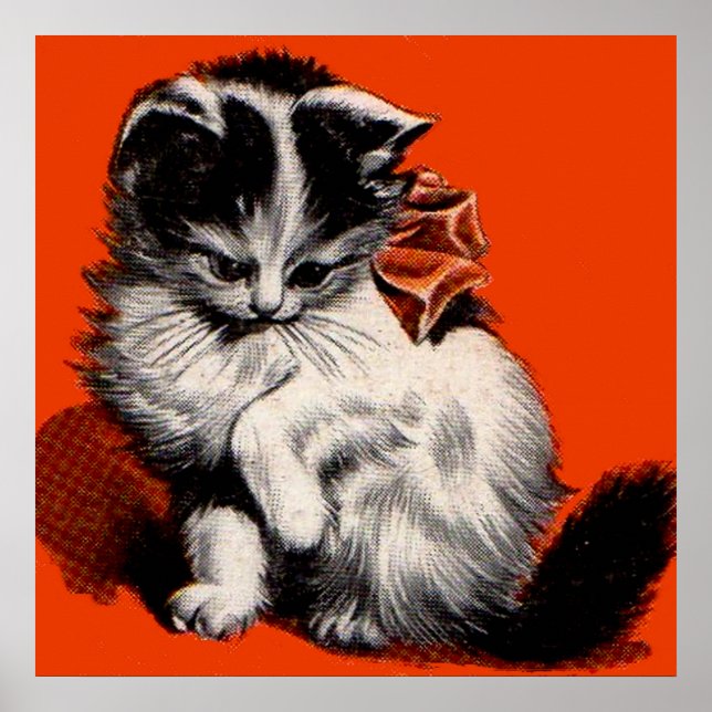 söt liten katt poster (Framsidan)