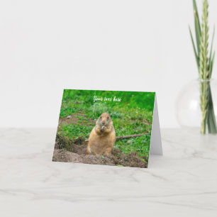 Söt liten svartstjärtad präriehund tack kort