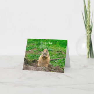 Söt liten svartstjärtad präriehund tack kort