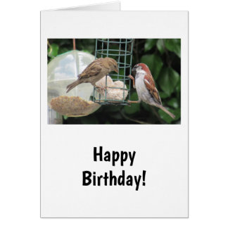 Söt Little Birthday Card Hälsningskort