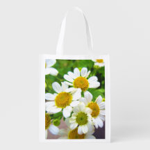 Söt Little Daisy Flowers in Sunshine