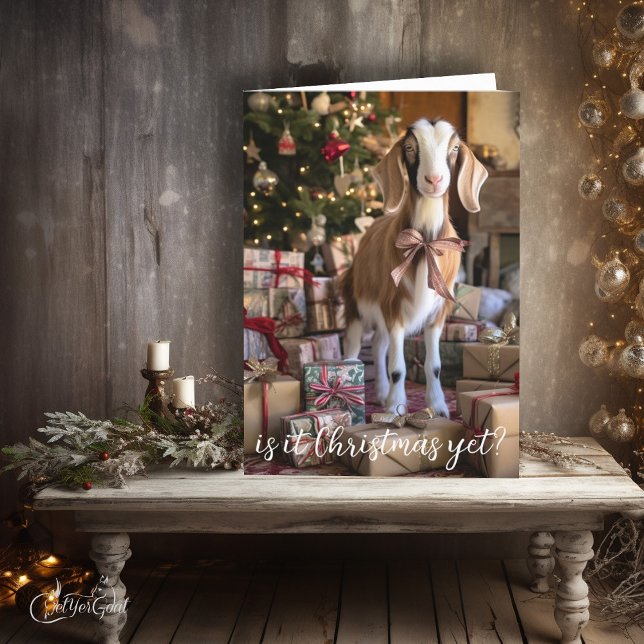 Söt Little Goat - Är det jul än Kort (Just like any kid, this little goat can't hardly wait for Santa - is it Christmas yet?  #zazzlemade)